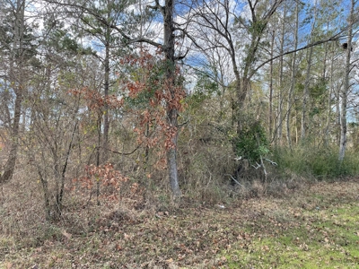 Rusk County Texas Lands For Sale - image 14
