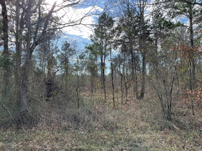 Rusk County Texas Lands For Sale - image 13