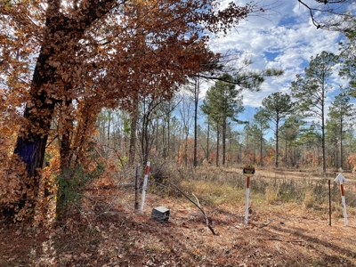 Rusk County Texas Lands For Sale - image 17