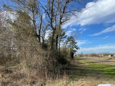 Rusk County Texas Lands For Sale - image 7