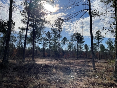 Rusk County Texas Lands For Sale - image 22