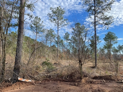 Rusk County Texas Lands For Sale - image 1