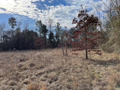 Rusk County Texas Lands For Sale - image 5
