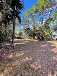 Income Producing Alert - Suwannee Florida! - image 22