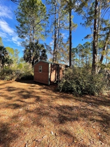 Income Producing Alert - Suwannee Florida! - image 20