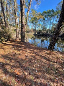 Income Producing Alert - Suwannee Florida! - image 26
