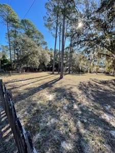 Income Producing Alert - Suwannee Florida! - image 24