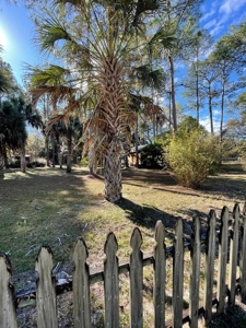 Income Producing Alert - Suwannee Florida! - image 25