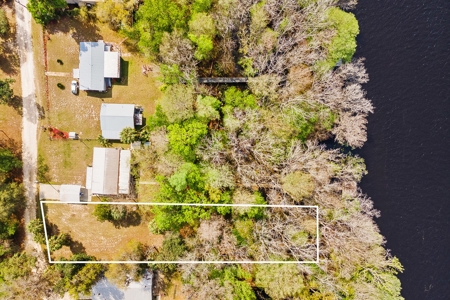 Suwannee River Frontage - Chiefland - North Florida! - image 15