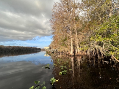 Suwannee River Frontage - Chiefland - North Florida! - image 11