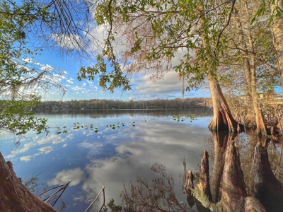 Suwannee River Frontage - Chiefland - North Florida! - image 1