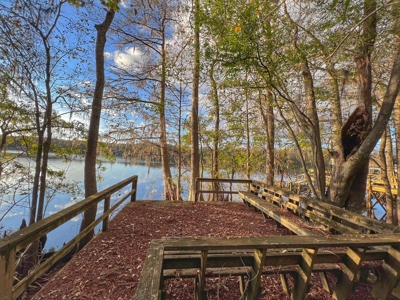 Suwannee River Frontage - Chiefland - North Florida! - image 4