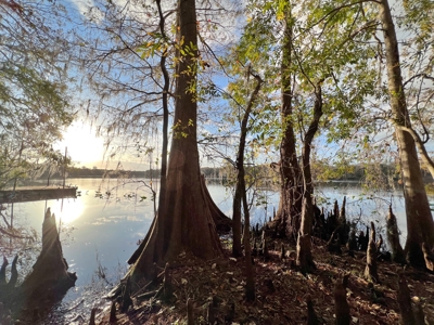 Suwannee River Frontage - Chiefland - North Florida! - image 2