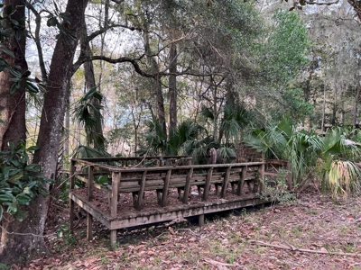 Suwannee River Frontage - Chiefland - North Florida! - image 8