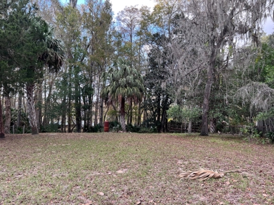 Suwannee River Frontage - Chiefland - North Florida! - image 10