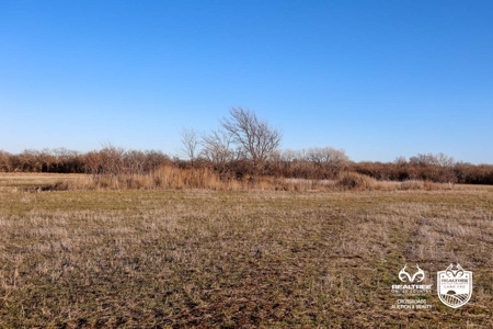 82± Acres of Premium Farmland in McPherson County, Kansas - image 6