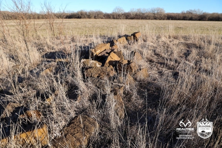 82± Acres of Premium Farmland in McPherson County, Kansas - image 8