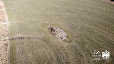 82± Acres of Premium Farmland in McPherson County, Kansas - image 5