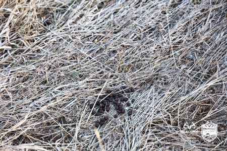 82± Acres of Premium Farmland in McPherson County, Kansas - image 13