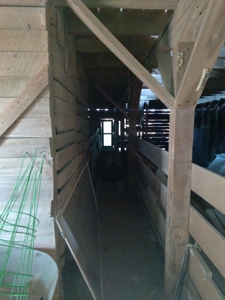 Farm for sale in Rector Arkansas 3 bedroom 2 bath with land - image 9