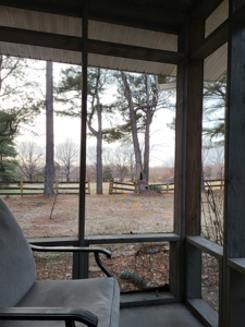 Farm for sale in Rector Arkansas 3 bedroom 2 bath with land - image 42