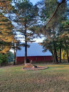 Farm for sale in Rector Arkansas 3 bedroom 2 bath with land - image 43