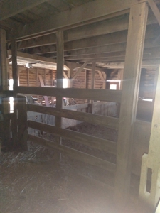 Farm for sale in Rector Arkansas 3 bedroom 2 bath with land - image 7