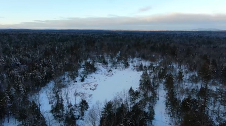 34± Acres of Maine Timber & Recreational Land - image 2