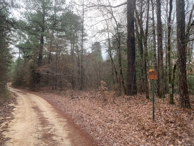Large Timber Land near Stephens, AR for Sale w/ Gravel Road - image 5
