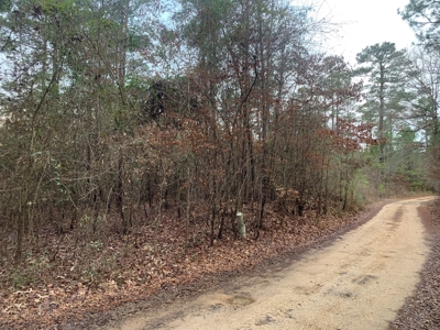 Large Timber Land near Stephens, AR for Sale w/ Gravel Road - image 3