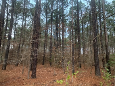 13 Acres With Homesite Potential for Sale near Stephens, AR! - image 5