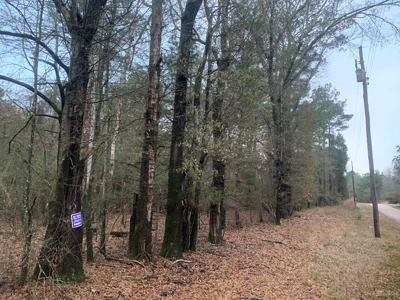 13 Acres With Homesite Potential for Sale near Stephens, AR! - image 11