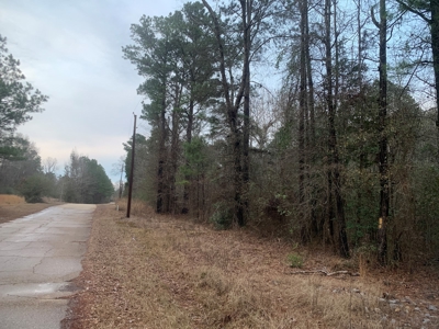 13 Acres With Homesite Potential for Sale near Stephens, AR! - image 2