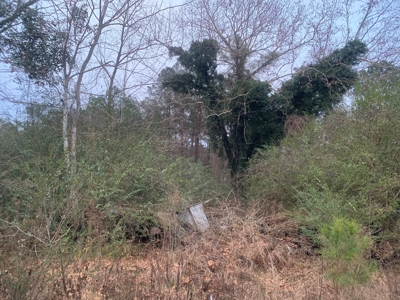 13 Acres With Homesite Potential for Sale near Stephens, AR! - image 8