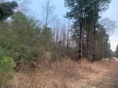 13 Acres With Homesite Potential for Sale near Stephens, AR! - image 9