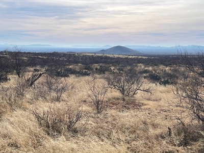 Prime secluded off the grid 40 Acres Elfreida AZ - image 3