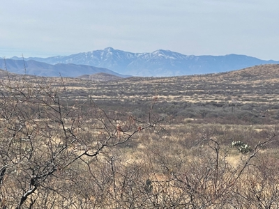 Prime secluded off the grid 40 Acres in Elfreida AZ - image 1
