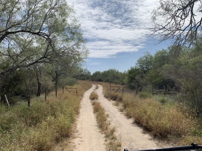 150 Acres Duval County TX - Hunter's Paradise - image 3