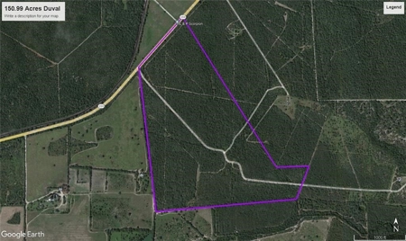 150 Acres Duval County TX - Hunter's Paradise - image 2