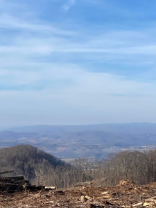 172 Acres Unrestricted Land for Sale Castlewood VA - image 18