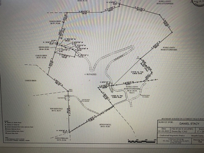 172 Acres Unrestricted Land for Sale Castlewood VA - image 2