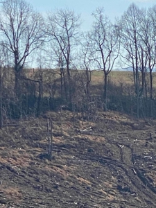 172 Acres Unrestricted Land for Sale Castlewood VA - image 15