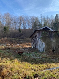 172 Acres Unrestricted Land for Sale Castlewood VA - image 6