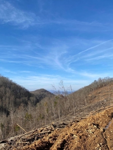 172 Acres Unrestricted Land for Sale Castlewood VA - image 21