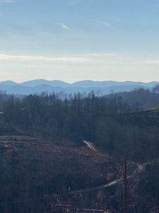 172 Acres Unrestricted Land for Sale Castlewood VA - image 17