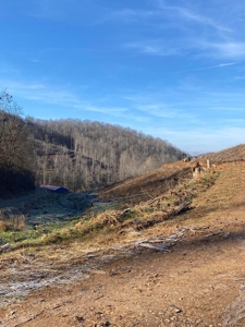 172 Acres Unrestricted Land for Sale Castlewood VA - image 26
