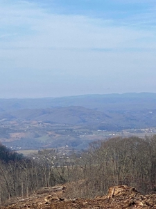 172 Acres Unrestricted Land for Sale Castlewood VA - image 19