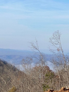 172 Acres Unrestricted Land for Sale Castlewood VA - image 22