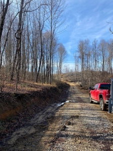 172 Acres Unrestricted Land for Sale Castlewood VA - image 5