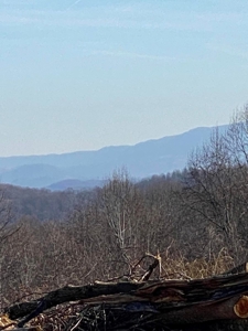 172 Acres Unrestricted Land for Sale Castlewood VA - image 14